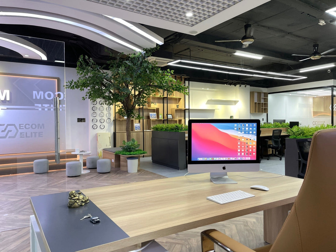 INTERNATIONAL BUSINESS DEVELOPMENT EXECUTIVE